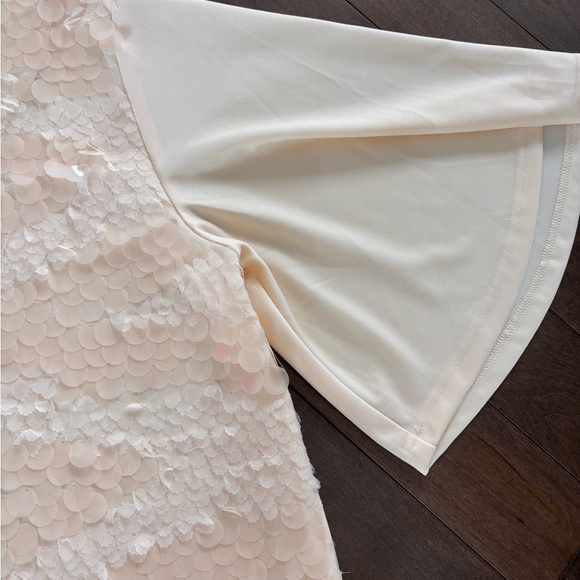Gracia Cream Sequin Blouse - Picture 6 of 13